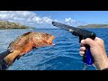 Spearfishing for DINNER off REMOTE ISLAND Catch Clean & Cook