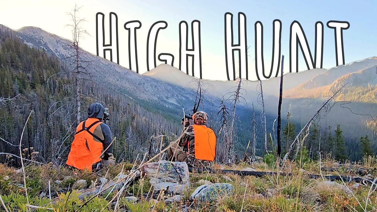 Backcountry Mule Deer A High Buck Hunt Part One YouTube Backcountry Mule Deer A High Buck Hunt Part One YouTube