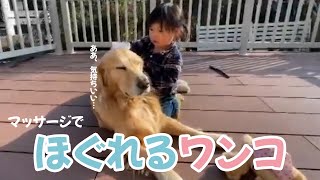 コロコロマッサージが最高♪|PECO