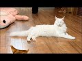 10G Wi-Fiがきれる前