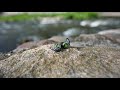 Sport&outdo Mifo S Review - Excellent Quality ANC Earphones!