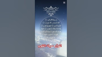 سورة الفاتحة #اكسبلور #المصحف #لايك #قرآن #راحة_نفسية #دويتو #تيك_توك