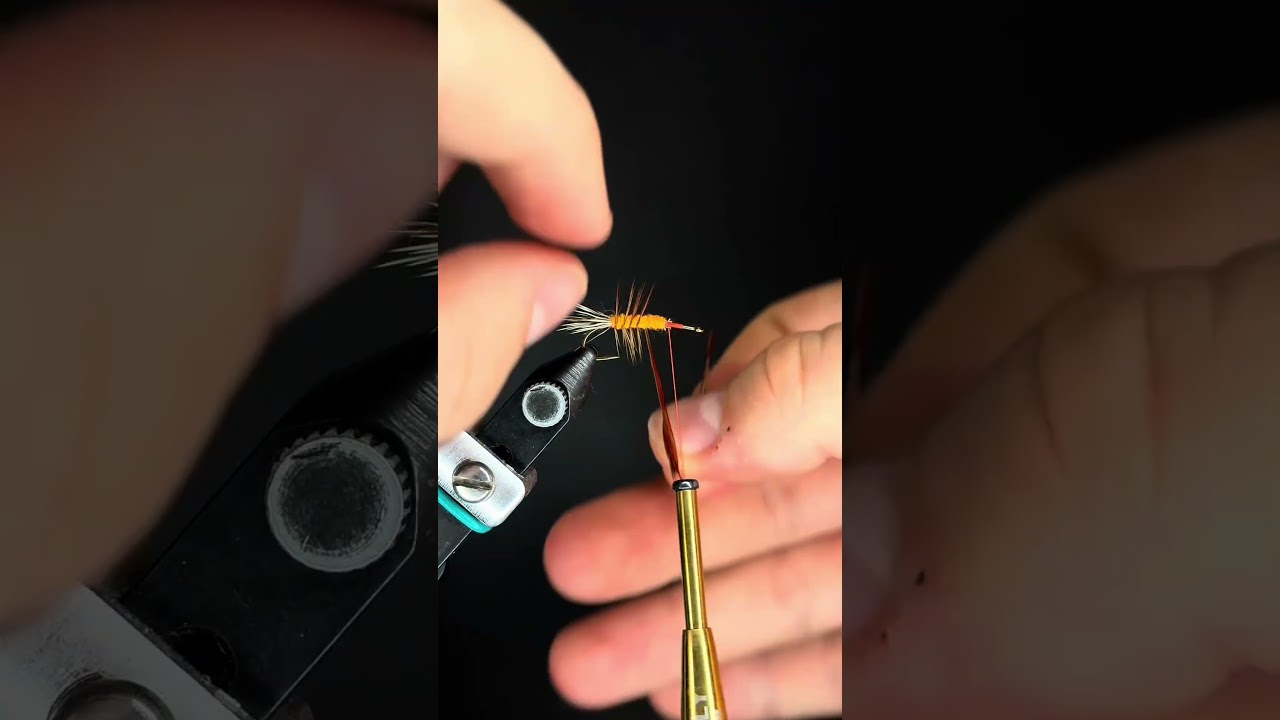 The Stimulator is a killer pattern!#flytying #troutbum #flyfishing