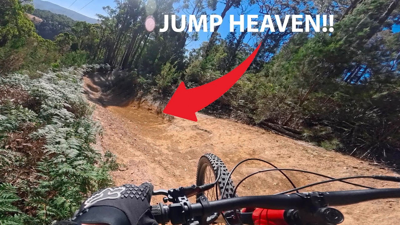 Wild Mersey, Latrobe MTB Trails.