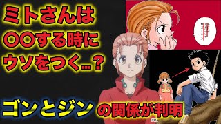ミトさんだけが知っている!ゴンとジンの本当の関係は親子じゃない!?ゴンの仲間想いはミトさん譲りだった!【ミトさん徹底考察】