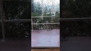 lots of birds enjoying the buffet. I put out of the wind for them.