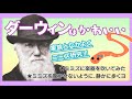 【『種の起源』より売れた?】ダーウィンの「かわいい」がいっぱいの本 #5