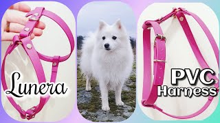 ☺💟 Handmade PVC Harness & Collar! - @Lunera.dogwear 💟 by Tera & Luna 257 views 2 years ago 1 minute, 45 seconds