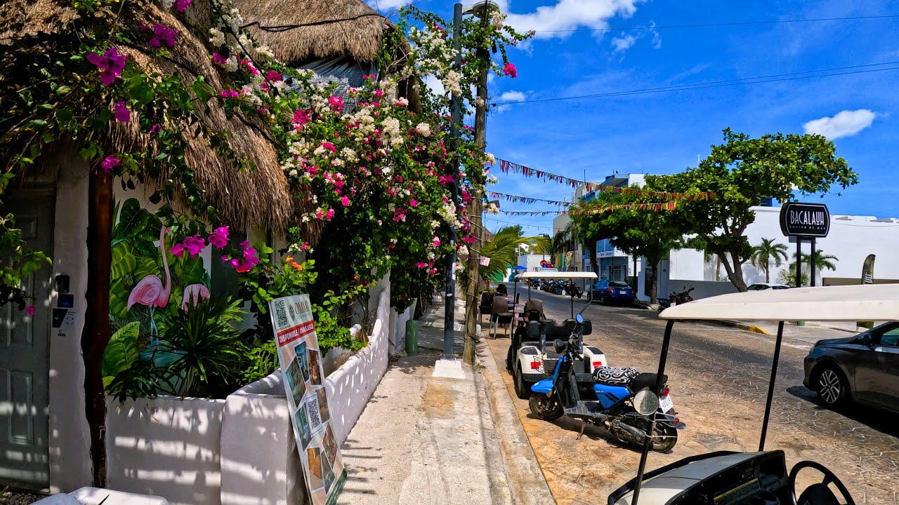 Walking a Few Streets of Progreso, Mexico. NOT BAD, if I might say so!!