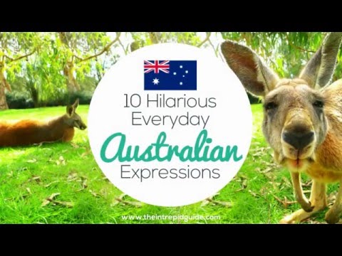 호주 속어 🇦🇺 호주의 재미있는 표현 10가지