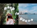 A Few Summer Days in Busan, Korea VLOG | Busan Meditour