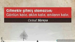 Yokluğuna Alışamadıklarımız İçin Duygusal Akım Videosu Tiktok Watsap Durum Instagram Twitter Video