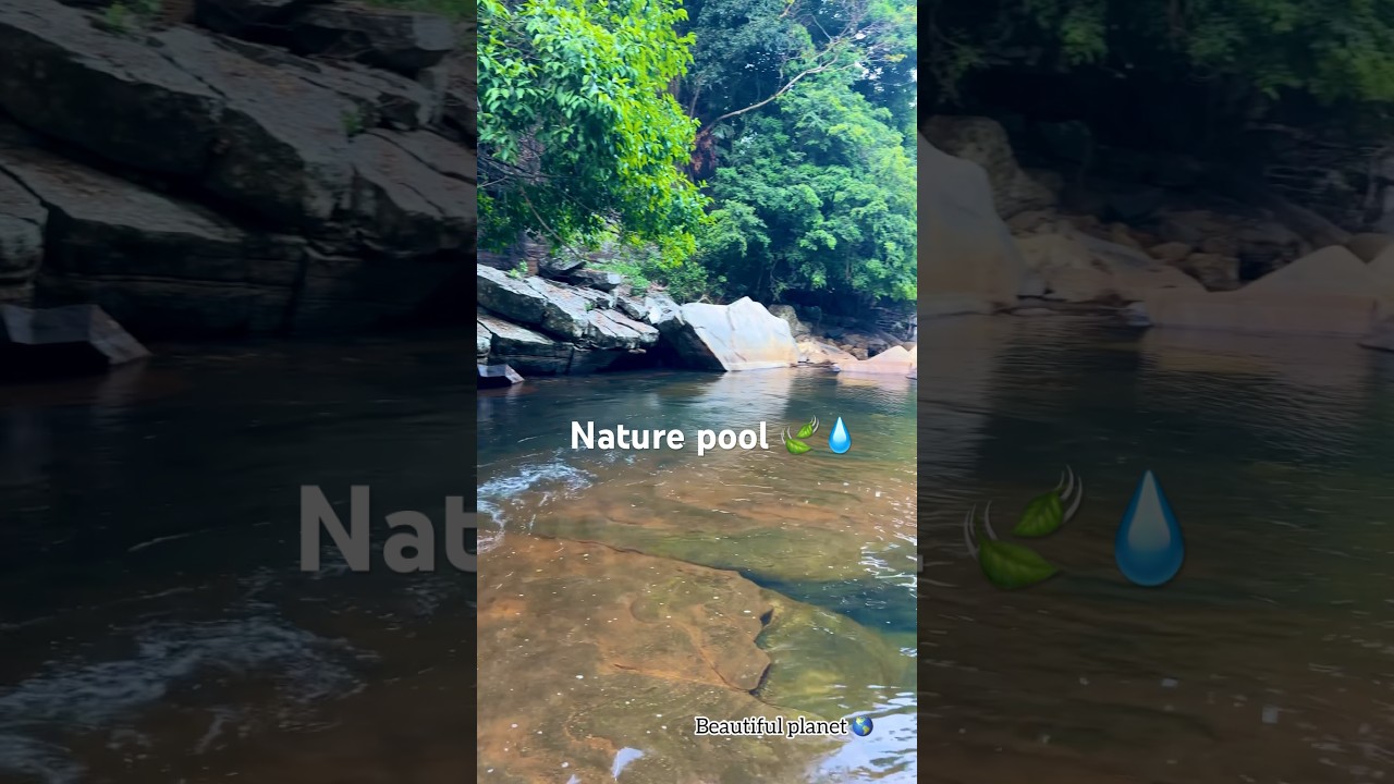 Following a Secret Stream to a Hidden Forest Pool | 4K Nature Hike