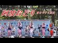 青葉まつりで踊る阿波おどり@2026仙台青葉まつり仙台西公園