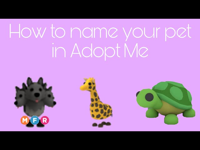 Reply to @rai3igh good names for parrot ! In adopt me :) 🌈 owner 1 🌈