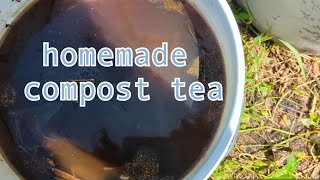 6 week old compost tea - How to dilute and use it in the garden