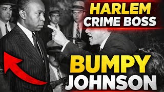 Famous Dutch Schultz Sent 12 Hitmen After Bumpy Johnson… Only ONE Came Back With a Chilling Message Net Worth