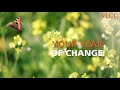 #HappyNewYou with VLCC