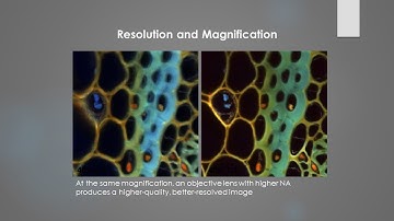 Basic Optical Microscopy
