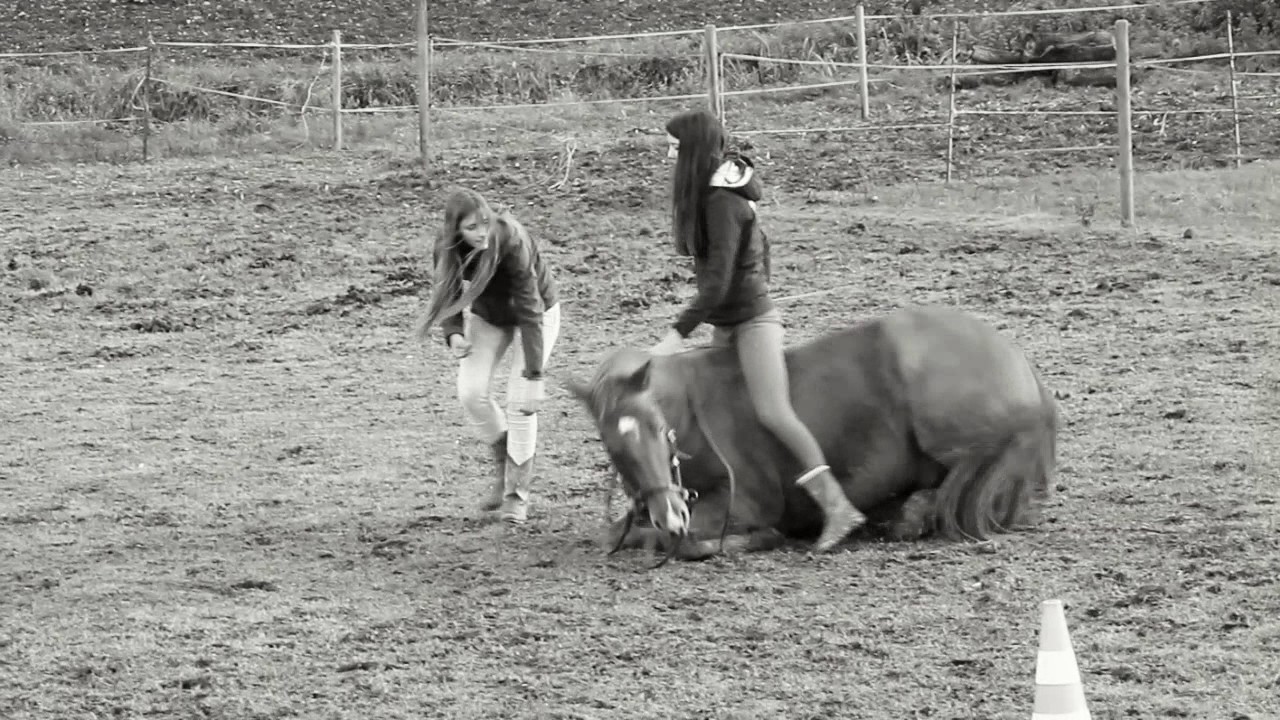 Funny weekend + Fails - YouTube