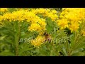zindagi moke dele sadri christian nonstop album songs | sadri nonstop christian song |