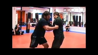 Chen Tai Chi Vs Greco Roman Wrestling Analysis