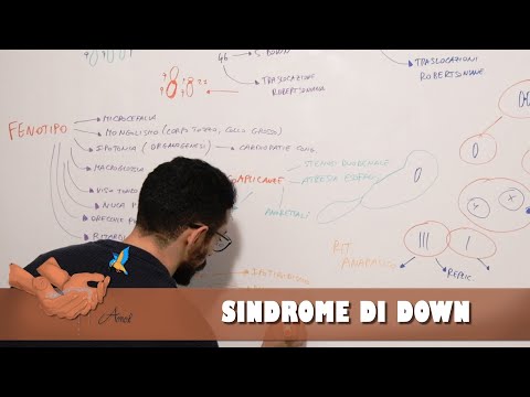 Video: Va bene uscire con qualcuno con la sindrome di down?