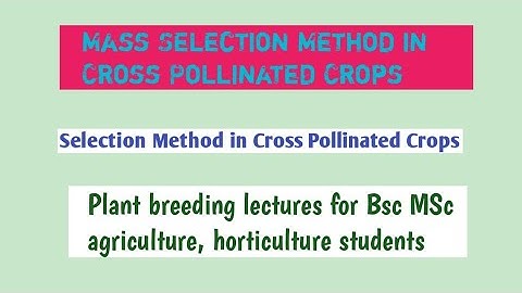 Mass selection method in cross pollinated crops