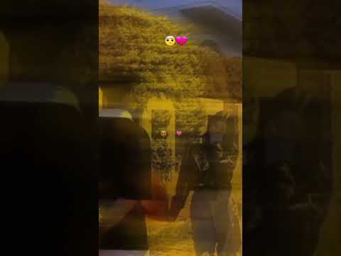 يالموند بلا بيك خاوي تصميم فيديوهات شاشة سوداء Ray الشعب الصيني ماله حل 