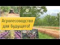 Агролесоводство для будущего!