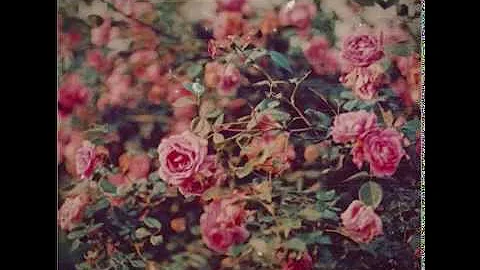 Nicholas Ruth - Believe