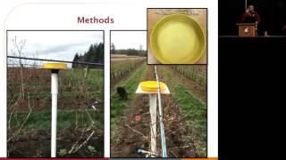 Blueberry virus and aphid survey in the PNW Blueberries - Tom Walters, Chris Benedict
