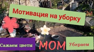 мотивация,мощная на уборку возле дома и озеленяем участок, cleaning motivation, вечерняя уборка