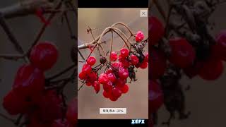 KakaoTalk 20220711 075311762