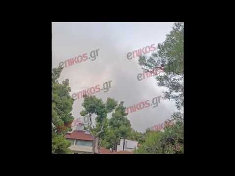 enikos.gr - Φωτιά στη Σταμάτα