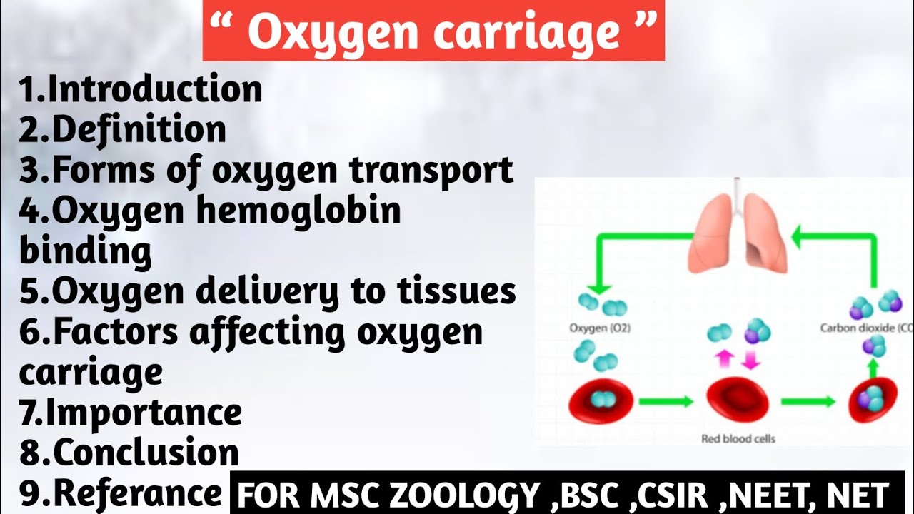 Oxygen carriage | Forms of oxygen transport |Hemoglobin binding ...