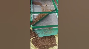 The corn vibrating screen is very clean for cleaning all kinds of particles
