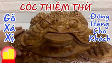 Cóc thiềm thừ ngậm tiền phong thủy, Gỗ Xá xị, Ngang 55 Cao 32 Sâu 23. Đồ gỗ Phan Quang 0985574062