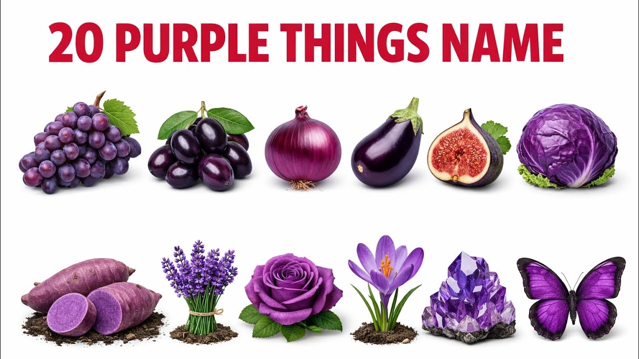 Prurple Object Top 20 Purple Things Name 💜 | Purple Objects for Kids | Learn Colors in ...