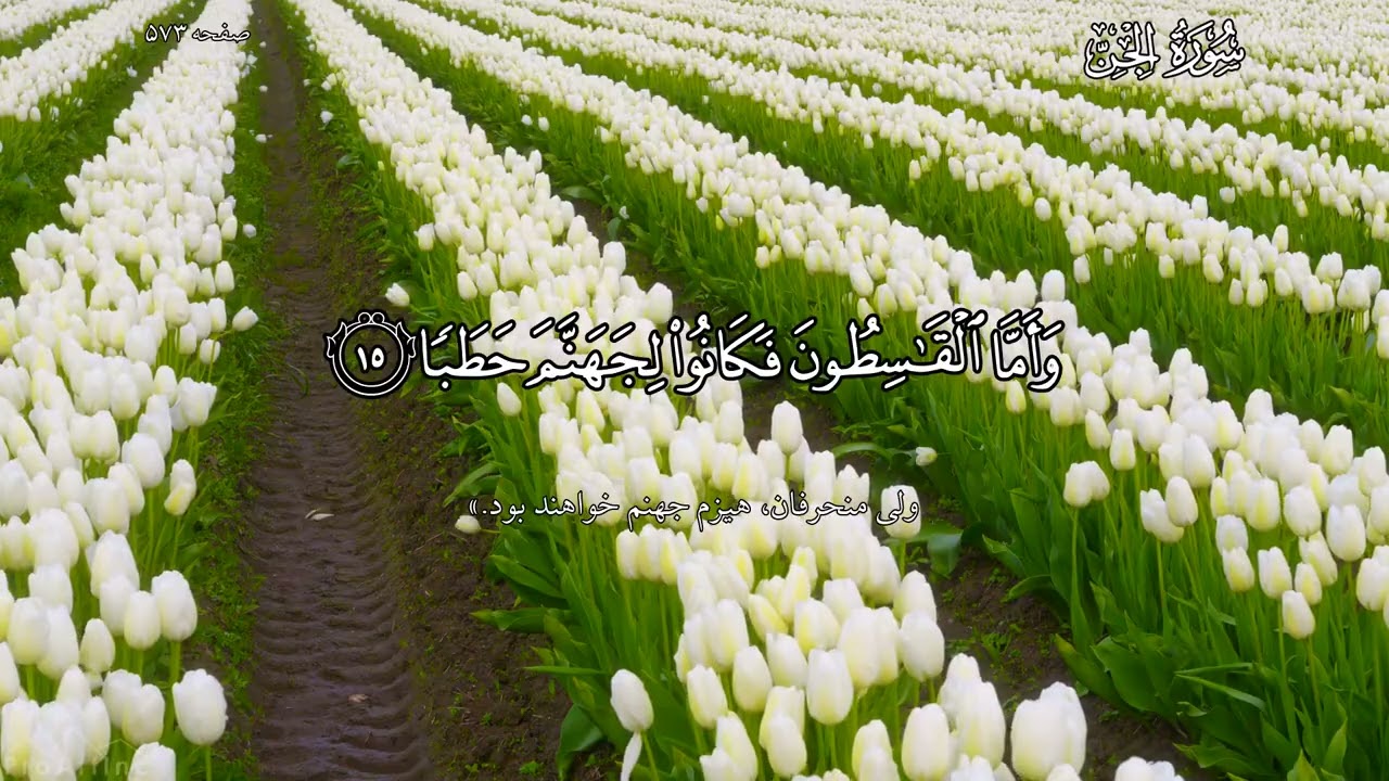 ترجمه گویای سوره جن (فولادوند)