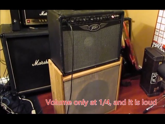 peavey valveking speaker