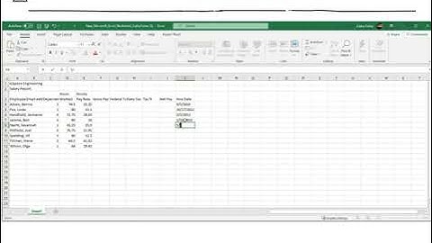 Excel Module 2 Presentation
