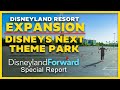 Disneys next theme park  disneyland forward expansion