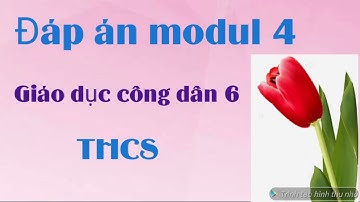 Đáp án modul 4 môn Giáo dục công dân. Làm nhanh, điểm cao !