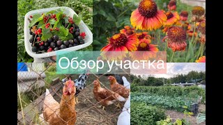 Обзор участка
