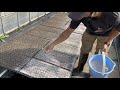 イネニカを使って病気に負けない丈夫な苗作り・白黒ダブルマルチとチョコマルチでレタス栽培時期を操る　21/11/16