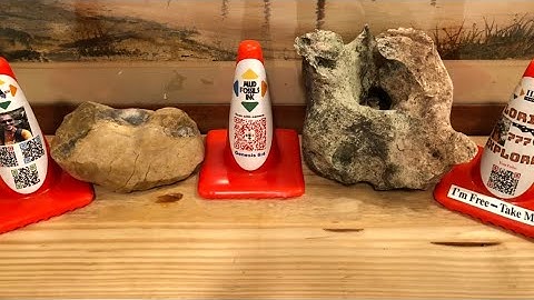 Mud Fossil Hearts ♥️