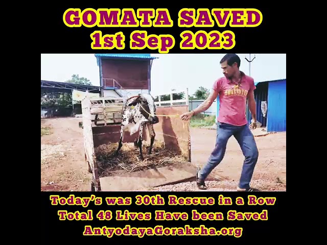 30th Rescue - 48 Lives