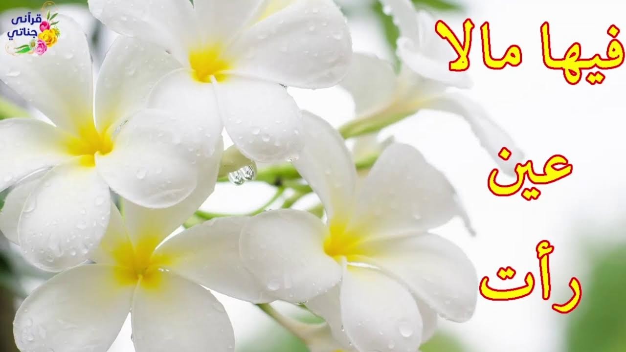 اسماء الله الحسنى بطريقة ممتعة