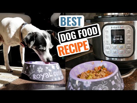 how-to-make-this-homemade-dog-food-recipe-in-your-instant-pot